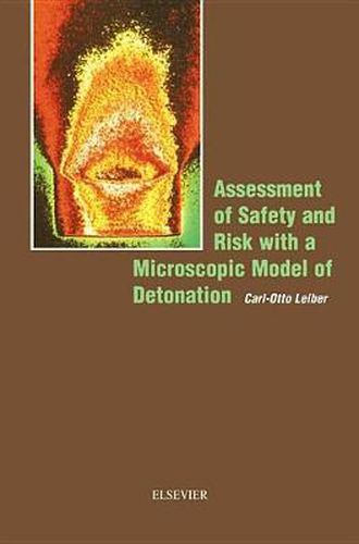 Cover image for Assessment of Safety and Risk with a Microscopic Model of Detonation