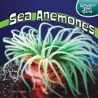 Cover image for Sea Anemones