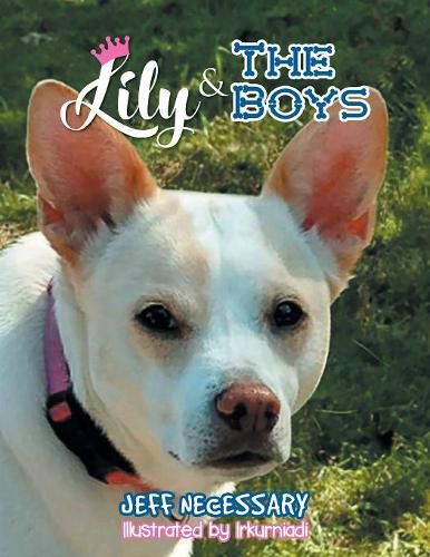 Cover image for Lily and The Boys