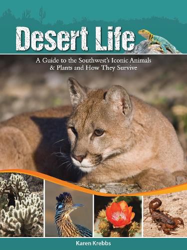 Cover image for Desert Life: A Guide to the Southwest's Iconic Animals & Plants and How They Survive