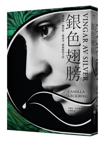 Cover image for Vingar AV Silver