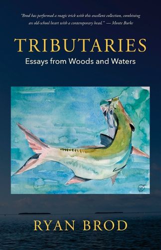 Cover image for Tributaries
