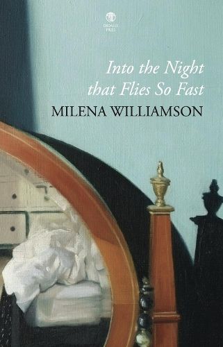 Cover image for Into the Night that Flies So Fast