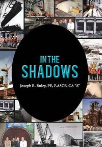 Cover image for In the Shadows