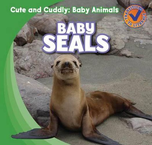 Cover image for Baby Seals