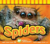 Cover image for Spiders