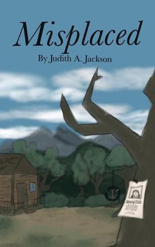 Cover image for Misplaced