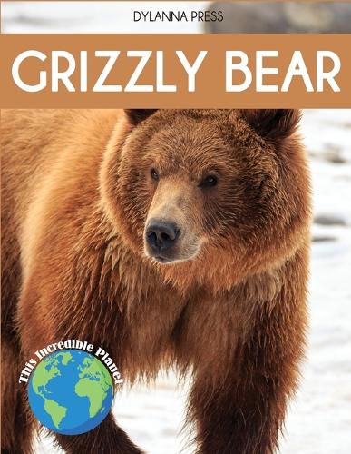Cover image for Grizzly Bear