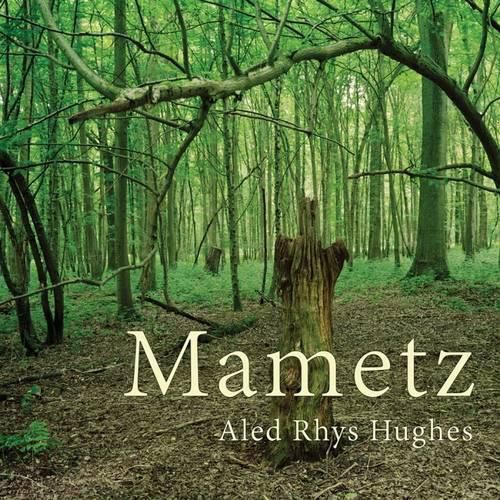 Cover image for Mametz