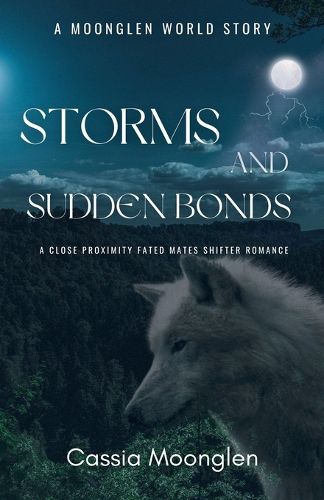 Cover image for Storms and Sudden Bonds