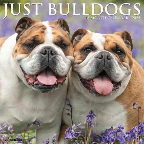 Cover image for Bulldogs 2026 12 X 12 Wall Calendar