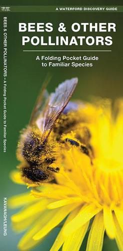 Cover image for Bees & Other Pollinators: A Folding Pocket Guide to the Status of Familiar Species