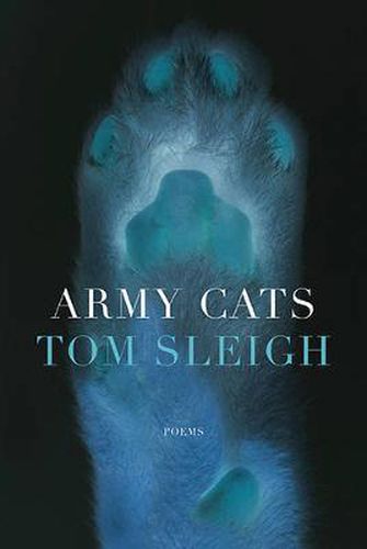 Cover image for Army Cats: Poems