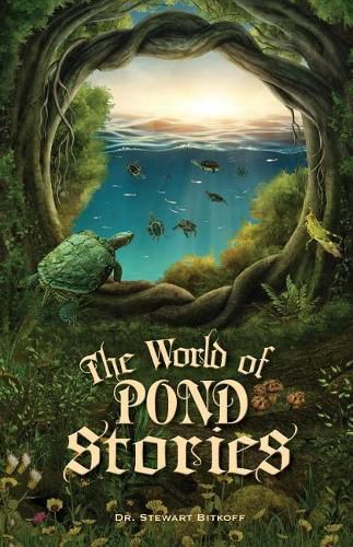 Cover image for The World of Pond Stories