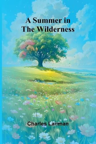 Cover image for A Summer in the Wilderness