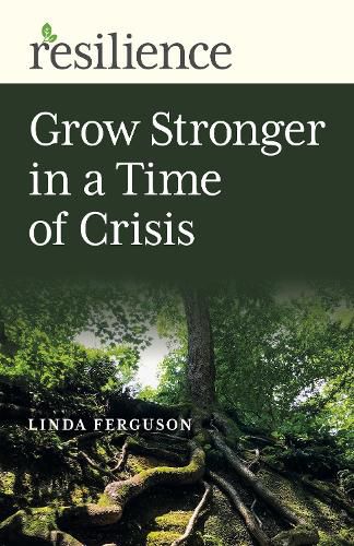 Cover image for Resilience: Grow Stronger in a Time of Crisis