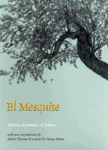 Cover image for El Mesquite: A Story of the Early Spanish Settlements Between the Nueces and the Rio Grande