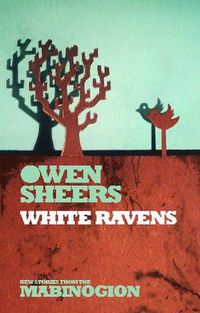 Cover image for White Ravens