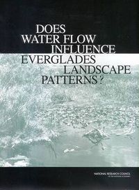 Cover image for Does Water Flow Influence Everglades Landscape Patterns?