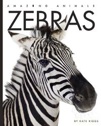 Cover image for Zebras