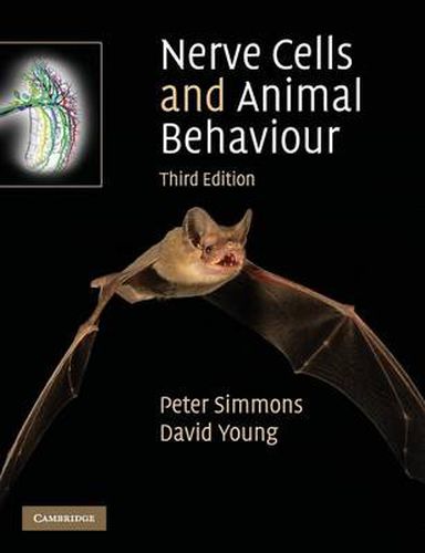 Nerve Cells and Animal Behaviour