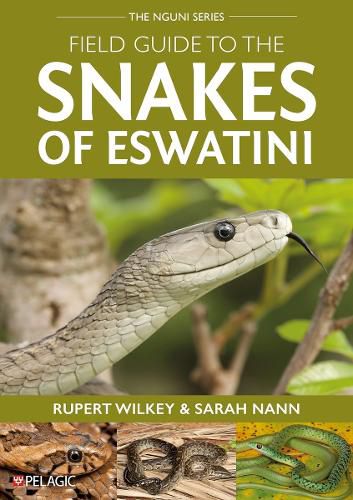 Cover image for Field Guide to the Snakes of Eswatini