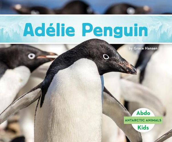 Cover image for Adelie Penguin