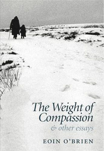 The Weight Of Compassion: Essays on Literature and Medicine