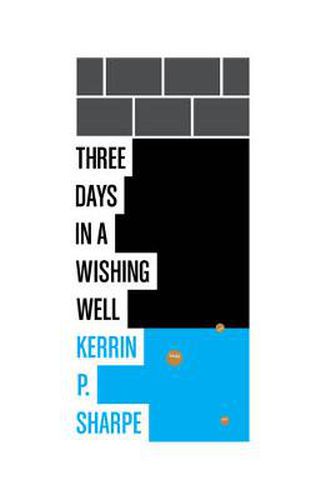 Cover image for Three Days in a Wishing Well