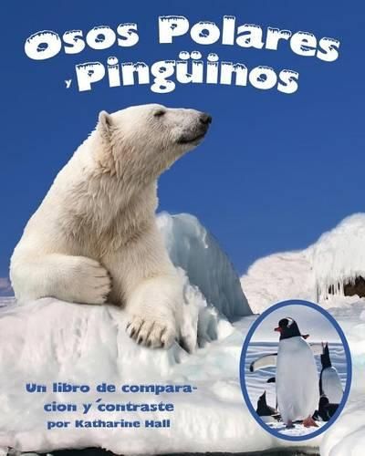 Osos Polares Y Pinguinos: Un Libro de Comparacion Y Contraste (Polar Bears and Penguins: A Compare and Contrast Book)