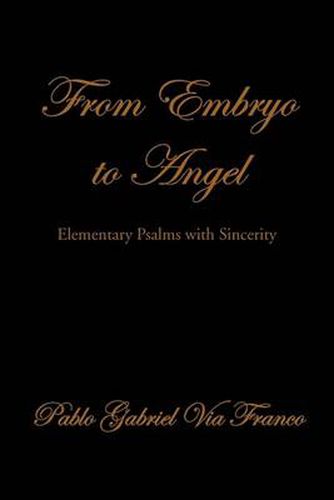 Cover image for From Embryo to Angel