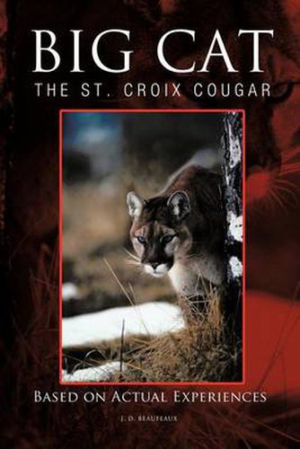 Cover image for Big Cat: The St. Croix Cougar