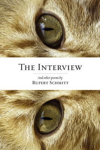 Cover image for The Interview