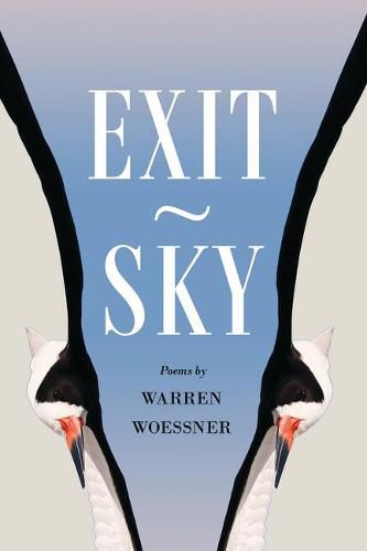 Cover image for Exit-Sky