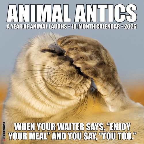 Cover image for Animal Antics 2026 12 X 12 Wall Calendar
