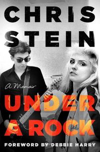 Cover image for Under a Rock