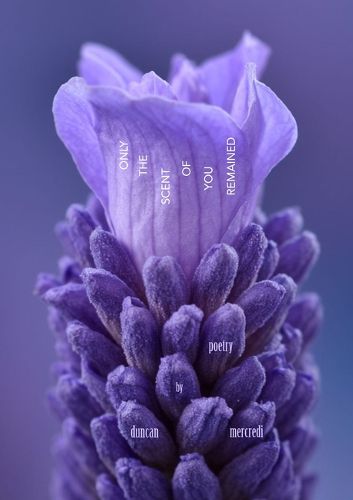 Cover image for Only the Scent of You Remained