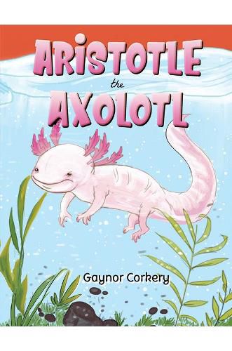 Cover image for Aristotle the Axolotl