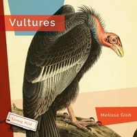 Cover image for Vultures