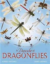 Cover image for A Dazzle of Dragonflies