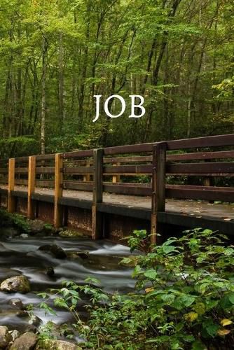 Cover image for Job Bible Journal