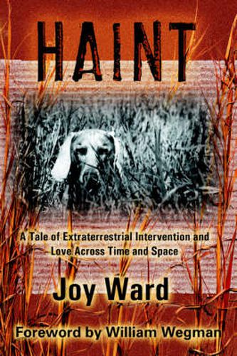 Cover image for Haint: A Tale of Extraterrestrial Intervention and Love Across Time and Space