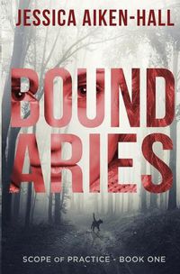 Cover image for Boundaries