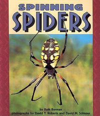 Cover image for Spinning Spiders