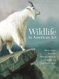 Cover image for Wildlife in American Art: Masterworks from the National Museum of Wildlife Art