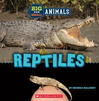 Cover image for Big and Small: Reptiles (Wild World)