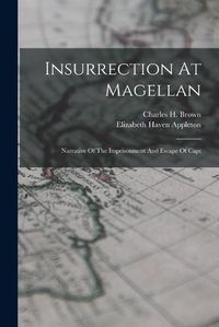 Cover image for Insurrection At Magellan