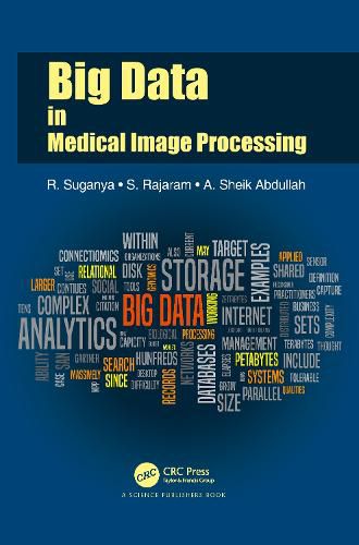 Cover image for Big Data in Medical Image Processing