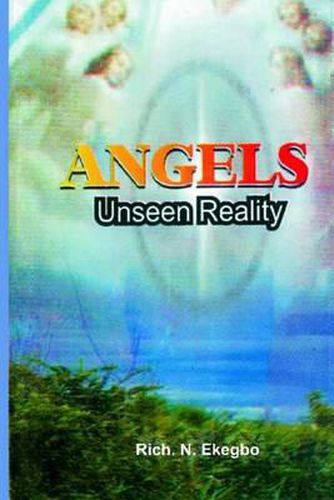 Cover image for Angels: Unseen Reality