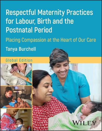 Cover image for Respectful Maternity Practices for Labour, Birth and the Postnatal Period